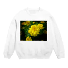 Dreamscape(LUNA)の光り輝く反射率 Crew Neck Sweatshirt