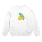 RabbitのLemmon Crew Neck Sweatshirt