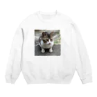 karinto3のもんちゃん王子 Crew Neck Sweatshirt