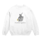 オカメインコ定点観測のノーマル　もふちりオカメインコ Crew Neck Sweatshirt