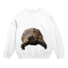 molaのモーラ2 Crew Neck Sweatshirt