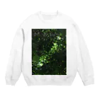 sun-sun_taiyoのしんりょく Crew Neck Sweatshirt