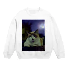 シッポ追いの猫写真店のたゆたう月の夜 Crew Neck Sweatshirt