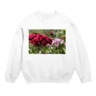 hiroki-naraのナデシコ（撫子）3  Crew Neck Sweatshirt