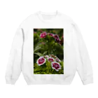 hiroki-naraのナデシコ（撫子）4  Crew Neck Sweatshirt