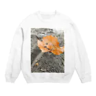 tunpiのフレーディ Crew Neck Sweatshirt