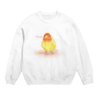 まめるりはことりのコザクラインコ　レイ【まめるりはことり】 Crew Neck Sweatshirt
