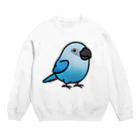 Cody the LovebirdのChubby Bird アオコンゴウインコ Crew Neck Sweatshirt