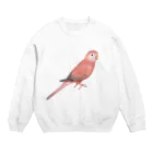 まめるりはことりのアキクサインコ　ピンク【まめるりはことり】 Crew Neck Sweatshirt