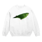 まめるりはことりのサザナミインコ　グリーン【まめるりはことり】 Crew Neck Sweatshirt