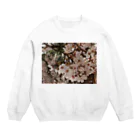 hiroki-naraの桜　サクラ　cherry blossom DATA_P_152　春　spring Crew Neck Sweatshirt