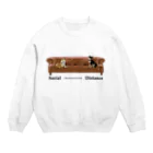 犬グッズの店しえるぶるーのソーシャルディスタンス　柴犬 Crew Neck Sweatshirt