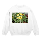 吉原教室の初夏の花壇 Crew Neck Sweatshirt