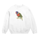 まめるりはことりの色合いが綺麗なゴシキセイガイインコちゃん【まめるりはことり】 Crew Neck Sweatshirt