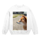 華柴の華柴 Crew Neck Sweatshirt