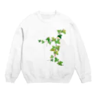 Ashidoriのアイビー Crew Neck Sweatshirt