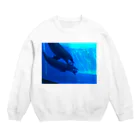 えのもと ともかのイルカはサッカーに夢中 Crew Neck Sweatshirt