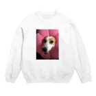   はりねずみのしろっぷのお店の花咲ひなちゃん Crew Neck Sweatshirt