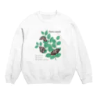 kitaooji shop SUZURI店のアカボシゴマダラとエノキ Crew Neck Sweatshirt