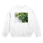 photo-kiokuのルリマツリ Crew Neck Sweatshirt