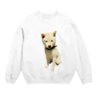 犬と猫と1日の豆柴犬のいっしんくん2 Crew Neck Sweatshirt