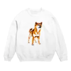 Swallow Tの柴犬 Crew Neck Sweatshirt