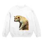 柴犬しばわんこhana873の微妙な表情のもふもふ柴犬しばいぬ Crew Neck Sweatshirt