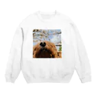 ささみの日常のももちゃんが見る景色〜桜〜 Crew Neck Sweatshirt