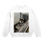 元シベリアンハスキーのチョビ(*≧∀≦*)君の黒柴テンちゃん Crew Neck Sweatshirt