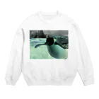 ペンギンの写真のコウテイペンギン　写真　リアル Crew Neck Sweatshirt