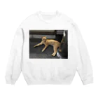 オシャな人向け。の近所にいる猫ちゃん Crew Neck Sweatshirt