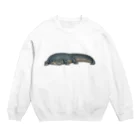 西廻りの太ワニ Crew Neck Sweatshirt