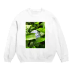 ぽ！！の紫陽花のTシャツ Crew Neck Sweatshirt