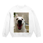 qwerasdfの飼ってる雑種犬のスウェット Crew Neck Sweatshirt