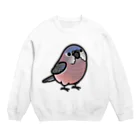 Cody the LovebirdのChubby Bird　アキクサインコ Crew Neck Sweatshirt