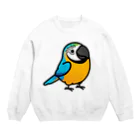 Cody the LovebirdのChubby Bird ルリコンゴウインコ Crew Neck Sweatshirt