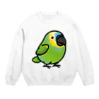 Cody the LovebirdのChubby Bird アオボウシインコ Crew Neck Sweatshirt