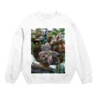 ミクロの雨の中の多肉植物 Crew Neck Sweatshirt