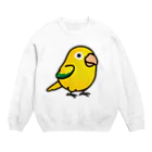 Cody the LovebirdのChubby Bird ニョオウインコ Crew Neck Sweatshirt