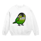 Cody the LovebirdのChubby Bird　ウロコインコ Crew Neck Sweatshirt