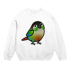 Cody the LovebirdのChubby Bird　ウロコインコ Crew Neck Sweatshirt