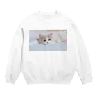 キャラメル色のメルちゃんのお昼寝ネコチャン うとうとバージョン Crew Neck Sweatshirt