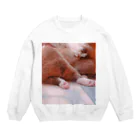 短足たちの日常の赤ちゃんコーギーのおしり Crew Neck Sweatshirt