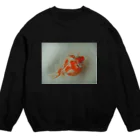 ぷりぷりピンポンパールのぷりぷりピンポンパール　５ Crew Neck Sweatshirt