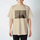 のあぺちーののかぜっぴきのあぺちーの Regular Fit T-Shirt