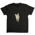 sitter_nicoのベンガル猫のミロ Regular Fit T-Shirt