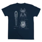 Biological Laceworksのダニ3種 3Mites （Back print）　 Regular Fit T-Shirtの裏面
