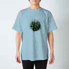 植物とかのサボテンくん スタンダードTシャツ