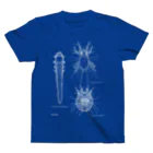 Biological Laceworksのダニ3種 3Mites  Regular Fit T-Shirt
