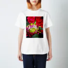 蜜と蝶の花と墨 b スタンダードTシャツ